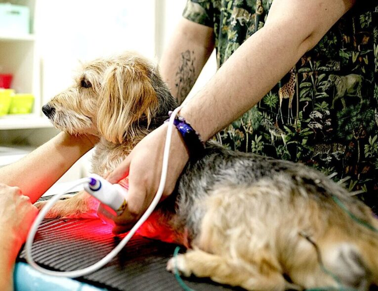 cold laser therapy